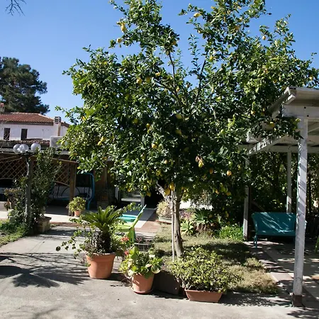 Simona Giardino & Mare * Sant'Andrea (Sardinia)