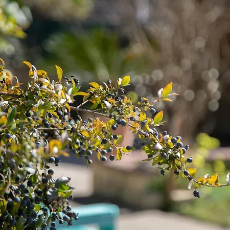 Simona Giardino & Mare