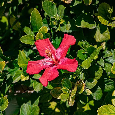 Simona Giardino & Mare Sant'Andrea (Sardinia)