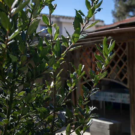 Simona Giardino & Mare Dom wakacyjny *