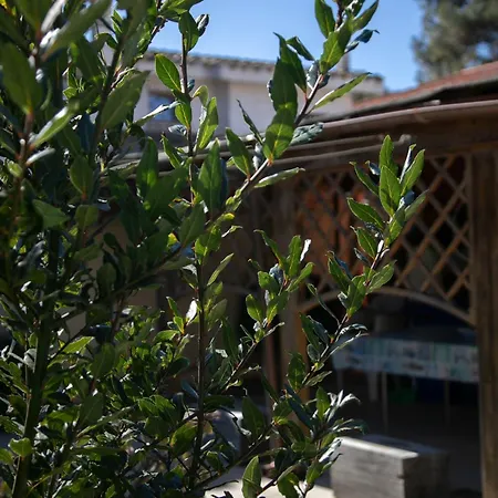 Simona Giardino & Mare Holiday home *